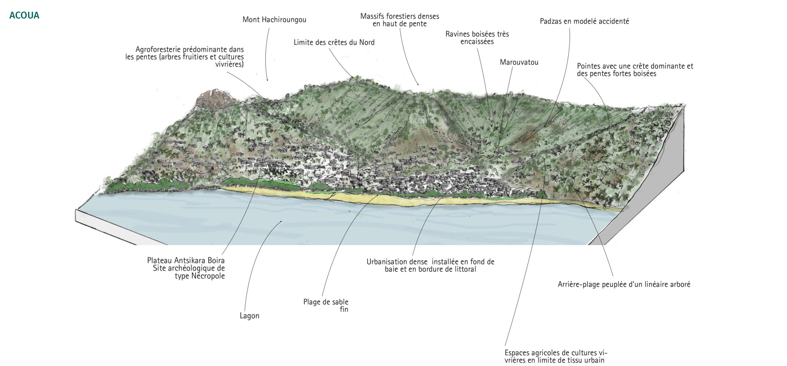 Résilience renaturation amélioration de l'habitat adaptation changement climatique Mayotte Acoua