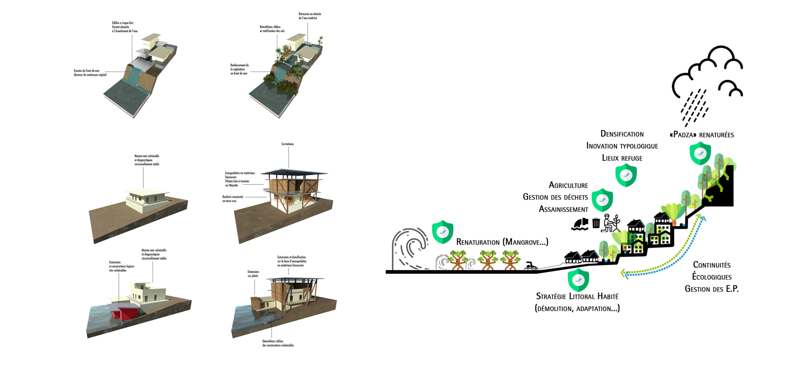 Résilience renaturation amélioration de l'habitat adaptation changement climatique Mayotte Acoua